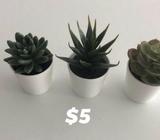 Artificial succulent X3