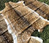 Chital fallow deer skins for sale hides rugs mats animal