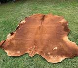 Large Natural Cowhide Floor Covering Man Cave Bar Decoration 4m2