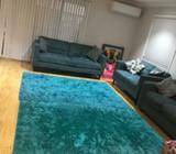 2 turquoise shaggy rugs