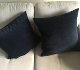 2 navy velvet cushions