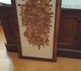 Beautiful Framed Flowers/ Leaves