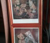 Teddy and kitten pictures
