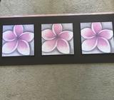 Frangipani picture