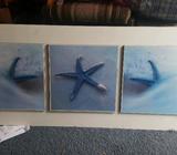 Starfish picture
