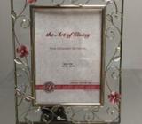 Stainless steel frame