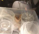 5x glass vases