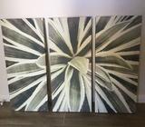 3 piece framed canvas agave