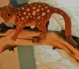 Beautiful, Unique animal sitting on log from clay 1 only made