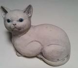 Stone Cat