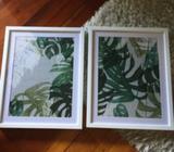 2 x monstera Adairs prints