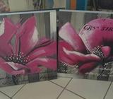 Canvas Pictures x 2