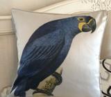 Exotic PARROT Designer Cushion Covers