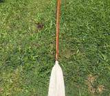 Trophy Sculling Timber Oars for Wall or decoration