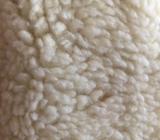 Sherpa fleece off white / cream 1.5mt wide $12 p/m