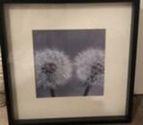 Large IKEA Frames x 2