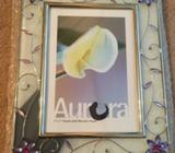 Aurora metal and glass frame