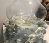 *Brand New* White Washed Timber Look Glass Terrarium