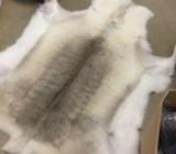 Genuine reindeer skins 90 skins hides fur rug Finland