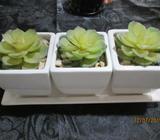 gorgeous set odf 3 artifical plants in white vases 30cm wide