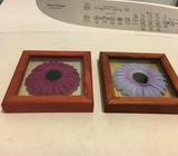 2 small flower pictures $3 for the pair