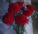 FLOWERS RED Handmade LACE x 6 with Gypsoflia Hand Washable RED