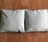Two Aqua Green Cushions