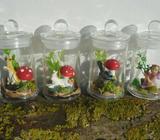 Mini terrariums