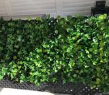 Screening artificial vines