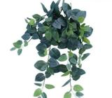 Artificial Fittonia Hanging Garland Bush 80cm