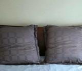 2 big cushions 60x60cm, $10/both