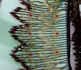 Bead trim. 2 x Styles