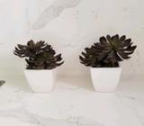2 Artificial Plants (New) ($8.00 each)