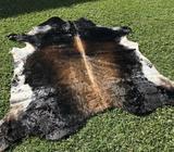 Over 2000 cowhides to choose from leather fur rugs skins