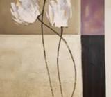 Frames. Canvass & more
