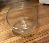 Westelm glass open terrarium bowl