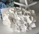 Resin Coral. Mint condition. Hamptons