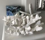 Resin Coral. Mint condition. Hamptons Beach Style