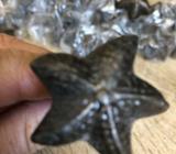 Rustic starfish knob