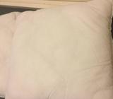 2 New cushion inserts