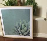 Agave print