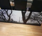 Black and White Canvas