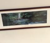 Framed Daintree photos