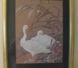 White Swans Framed Print