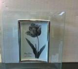Brand New Glass photoframe - only $15