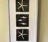 Framed coastal themed objects