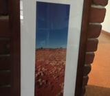 Photographic print