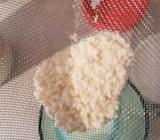 Fresh milk kefir grains