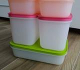 Tupperware Freezer Keeper Starter Set