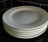 Plates 30cm x 5